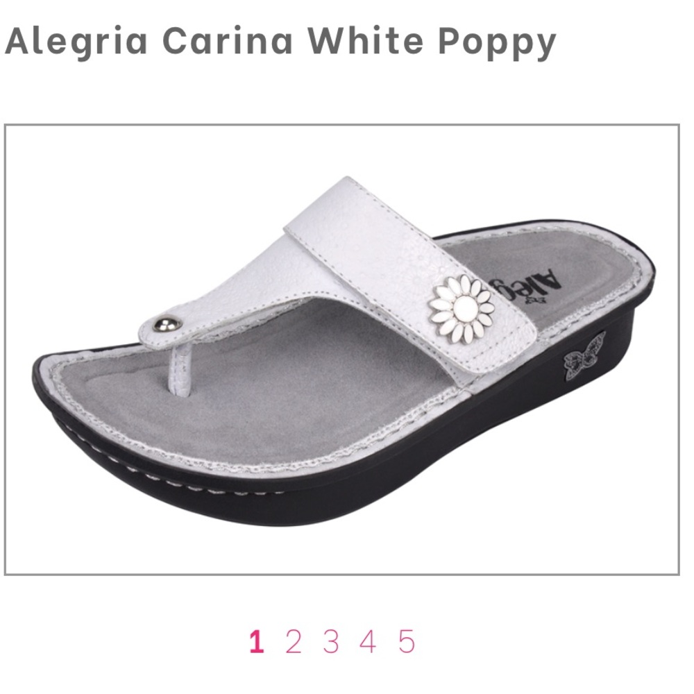 Algeria Carina White Poppy
